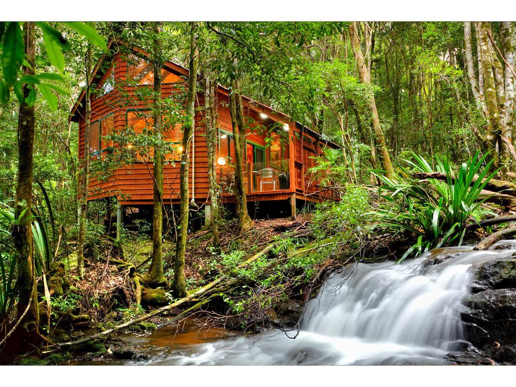 The Mouses House Rainforest Retreat Springbrook Exterior foto