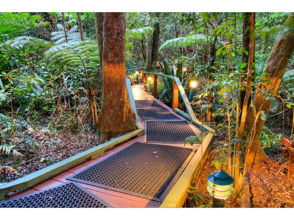 The Mouses House Rainforest Retreat Springbrook Exterior foto