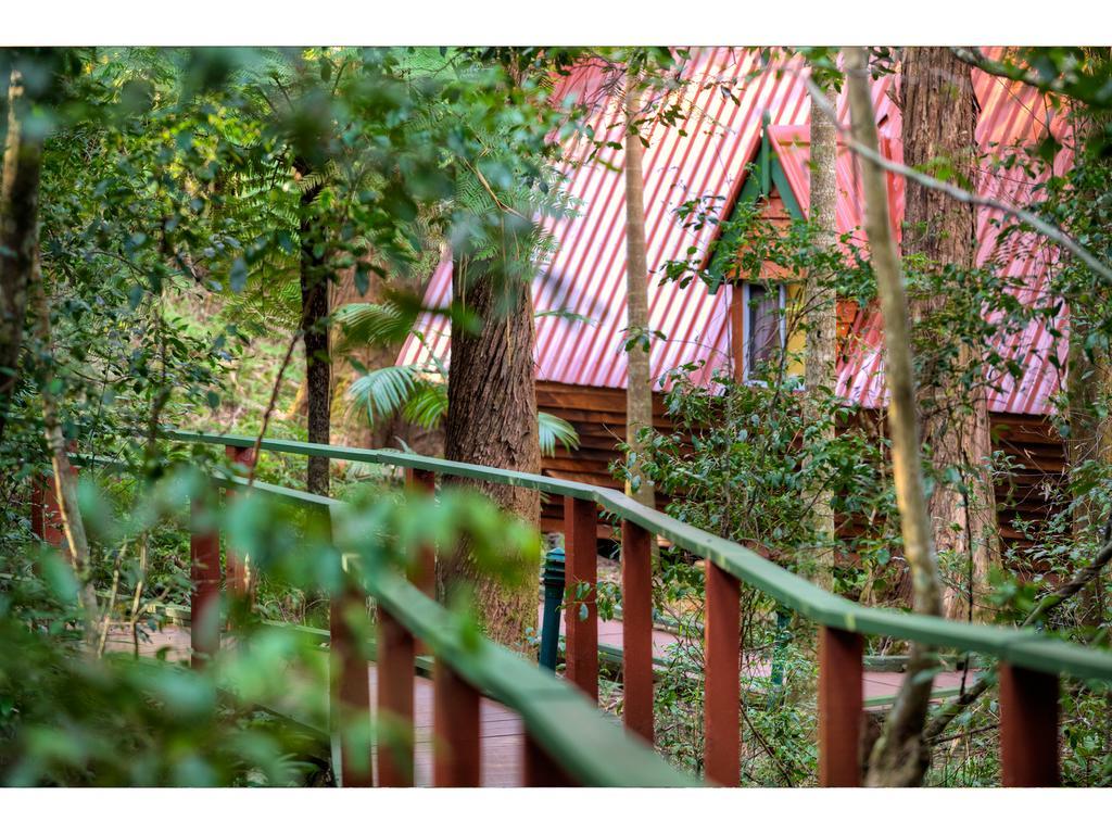 The Mouses House Rainforest Retreat Springbrook Exterior foto
