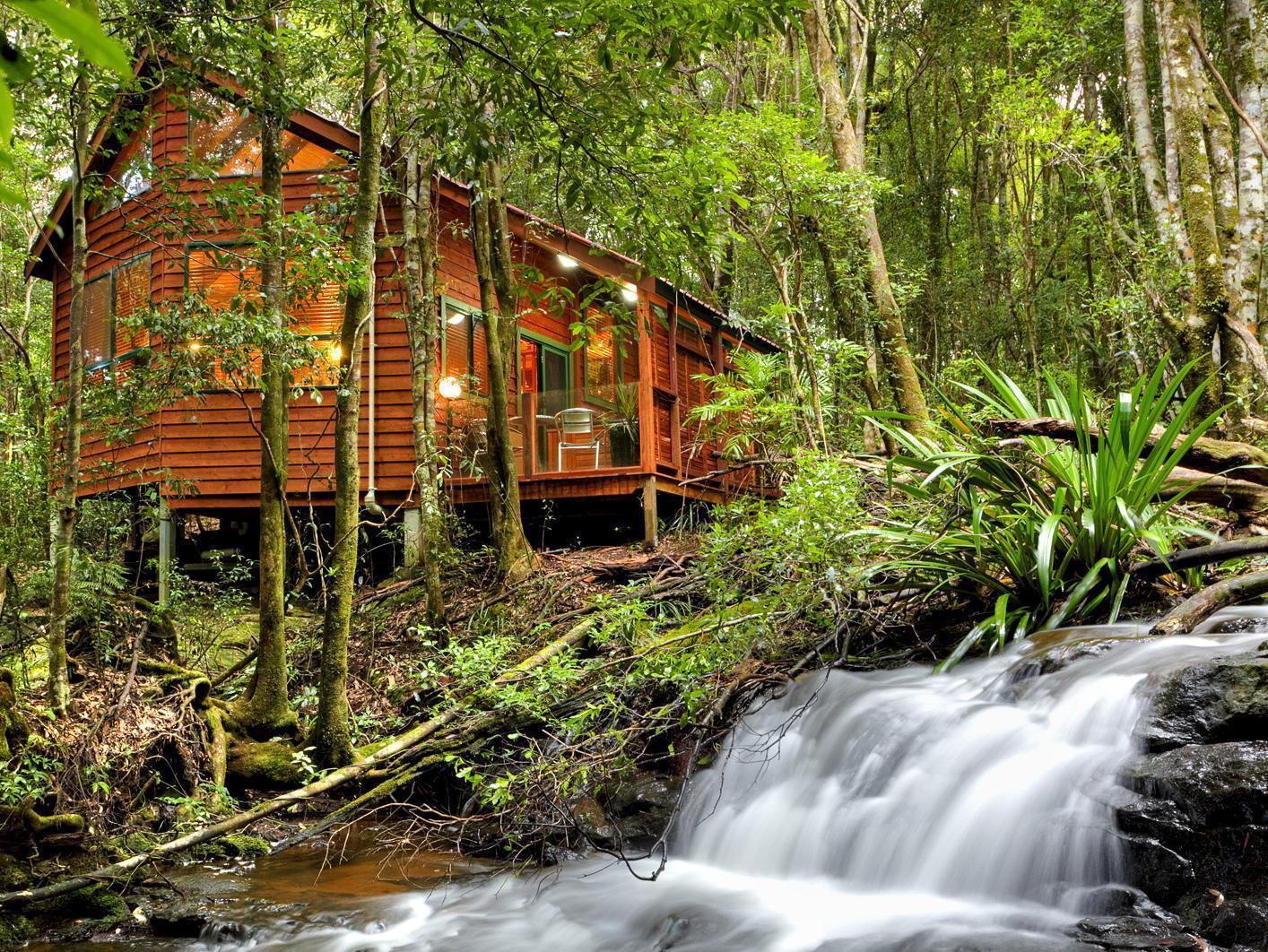 The Mouses House Rainforest Retreat Springbrook Exterior foto