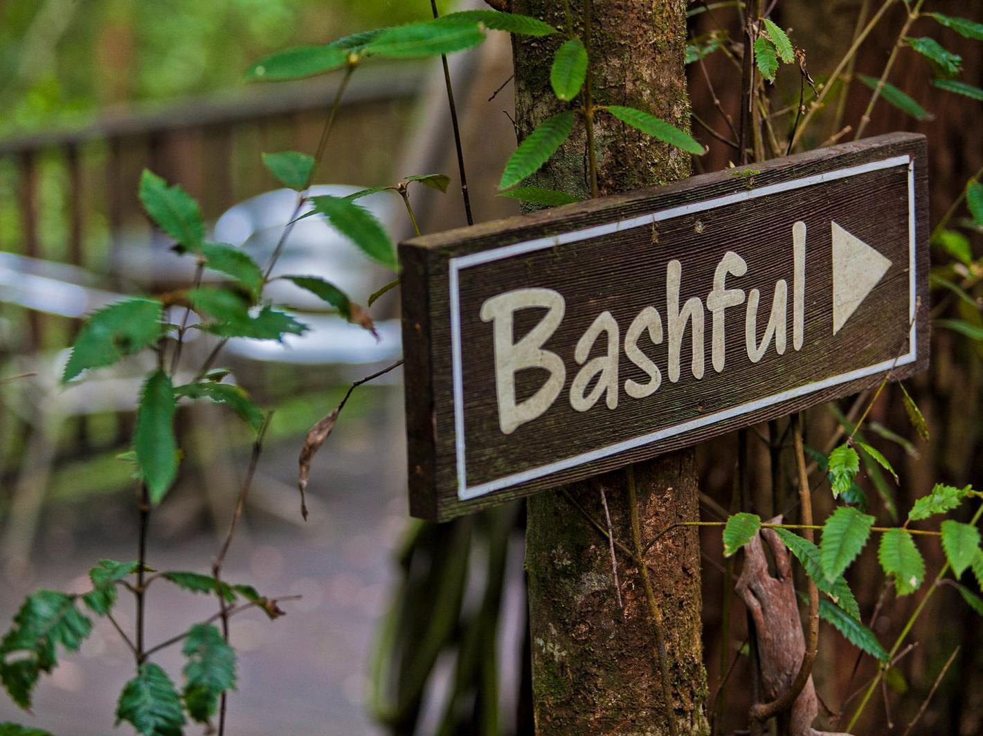 The Mouses House Rainforest Retreat Springbrook Exterior foto