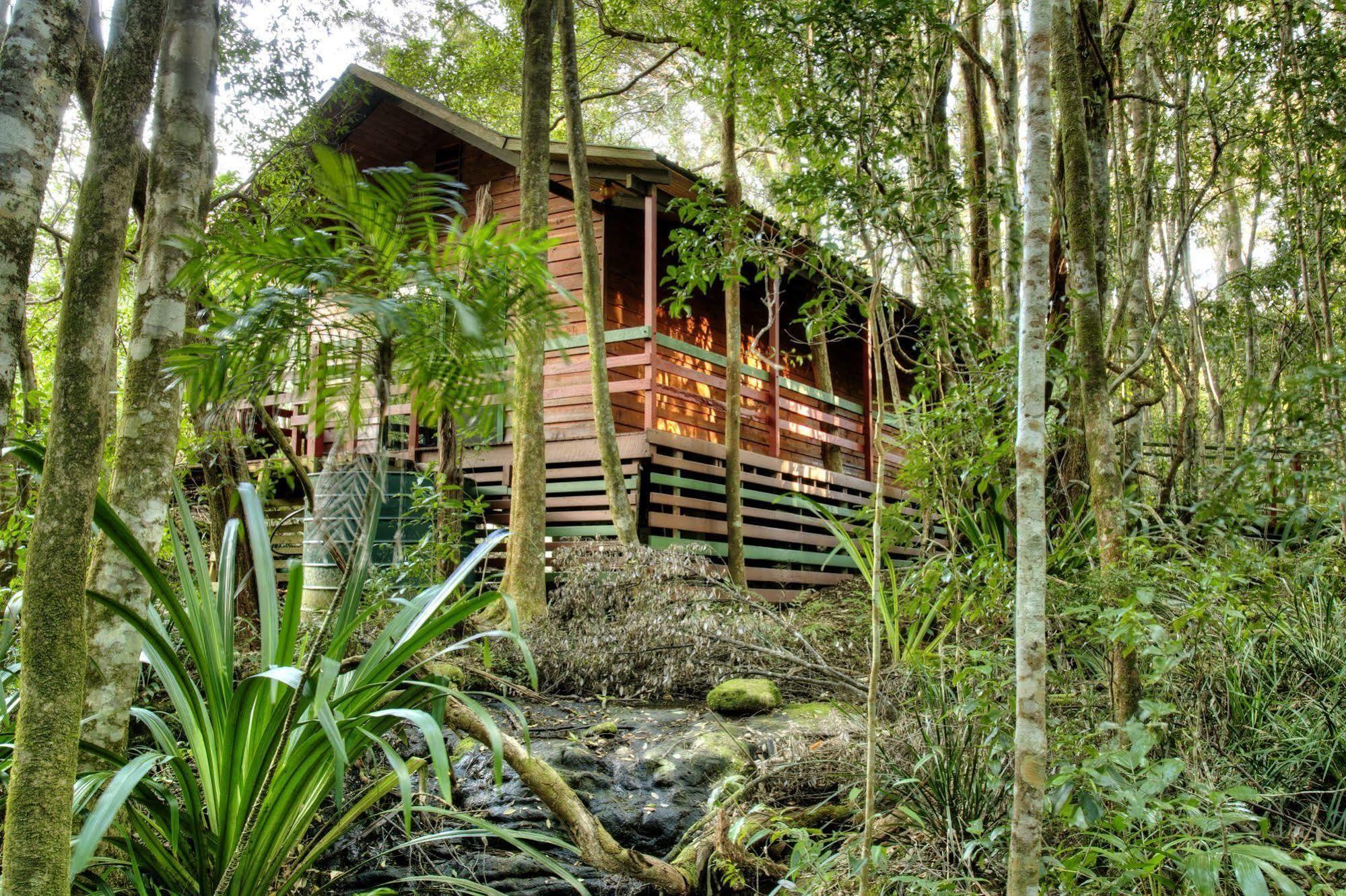 The Mouses House Rainforest Retreat Springbrook Exterior foto
