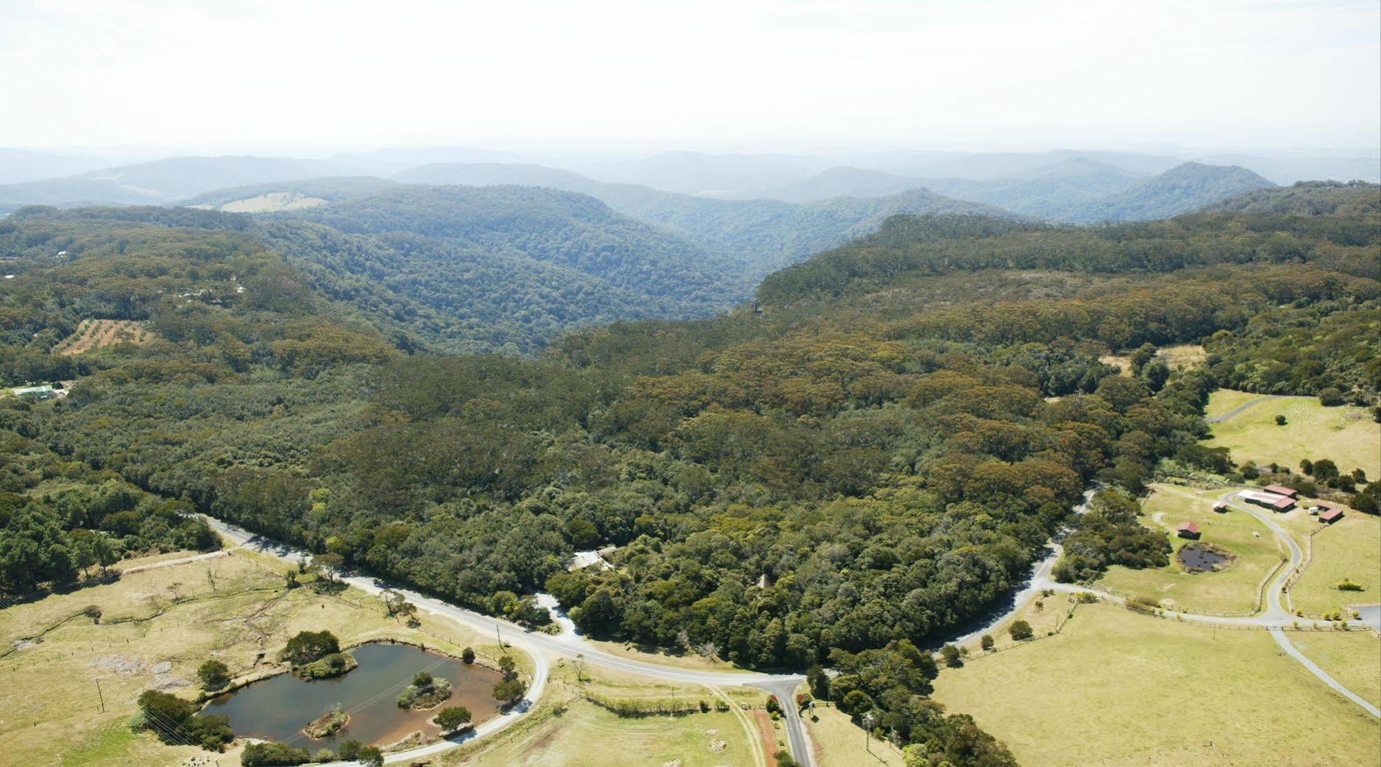 The Mouses House Rainforest Retreat Springbrook Exterior foto