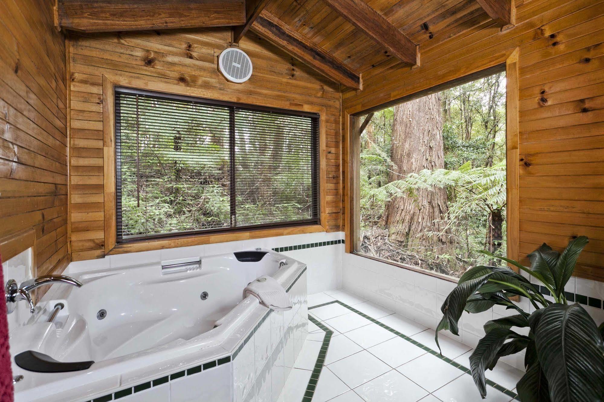 The Mouses House Rainforest Retreat Springbrook Exterior foto