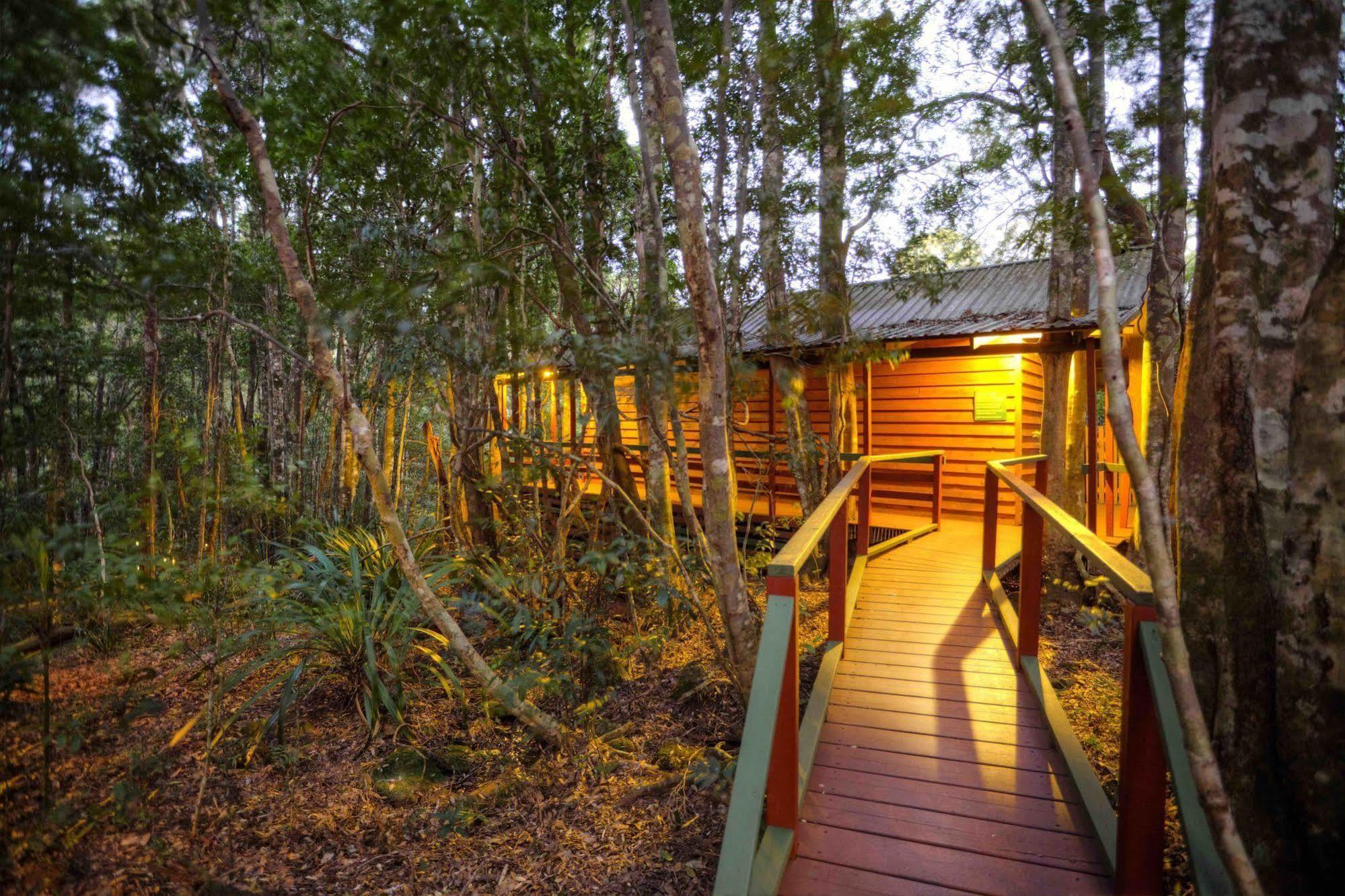 The Mouses House Rainforest Retreat Springbrook Exterior foto